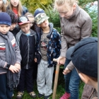 Święto Drzewa